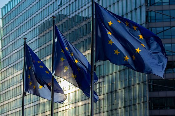 Drapeaux de l'Union européenne devant un bâtiment institutionnel
